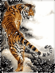 pic for Snow Tiger